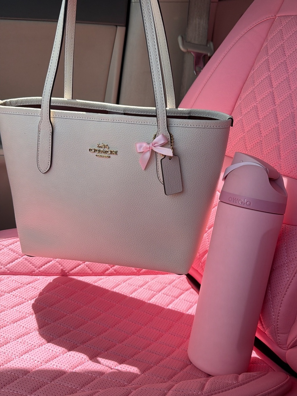 Rare coach small city tote